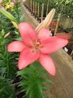 [5061 Manado No02.JPG]